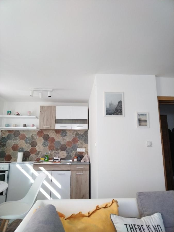 Apartman Milly Копаоник Экстерьер фото